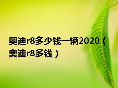 奥迪r8多少钱一辆2020（奥迪r8多钱）