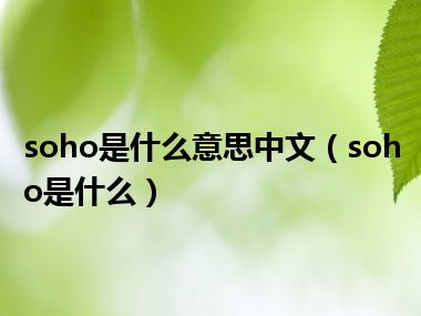 soho是什么意思中文（soho是什么）