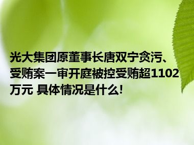 光大集团原董事长唐双宁贪污、受贿案一审开庭被控受贿超1102万元 具体情况是什么!