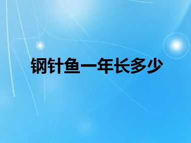 钢针鱼一年长多少