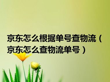 京东怎么根据单号查物流（京东怎么查物流单号）