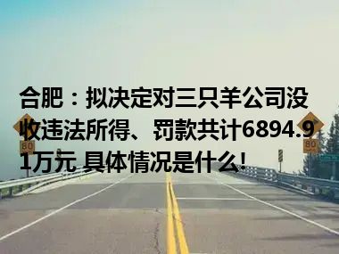 合肥：拟决定对三只羊公司没收违法所得、罚款共计6894.91万元 具体情况是什么!