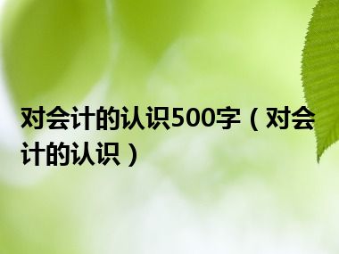 对会计的认识500字（对会计的认识）