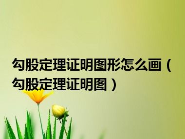 勾股定理证明图形怎么画（勾股定理证明图）