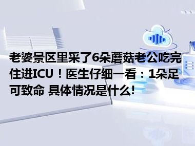 老婆景区里采了6朵蘑菇老公吃完住进ICU！医生仔细一看：1朵足可致命 具体情况是什么!