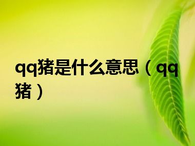 qq猪是什么意思（qq猪）