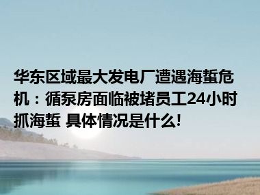 华东区域最大发电厂遭遇海蜇危机：循泵房面临被堵员工24小时抓海蜇 具体情况是什么!