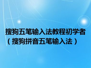 搜狗五笔输入法教程初学者（搜狗拼音五笔输入法）