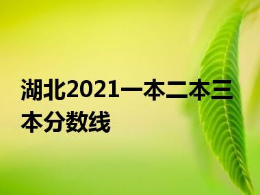 湖北2021一本二本三本分数线