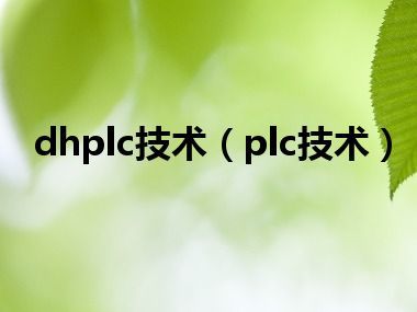 dhplc技术（plc技术）