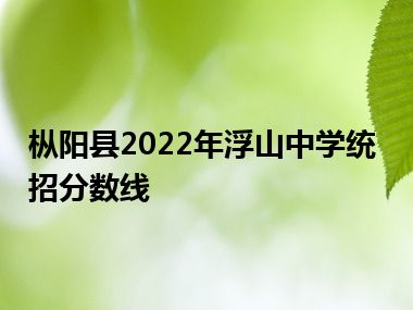 枞阳县2022年浮山中学统招分数线