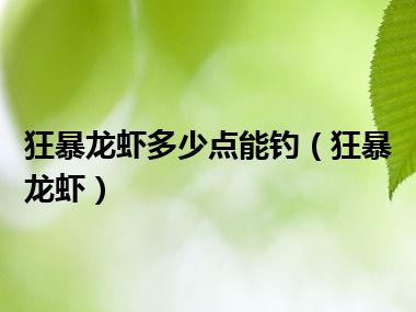 狂暴龙虾多少点能钓（狂暴龙虾）