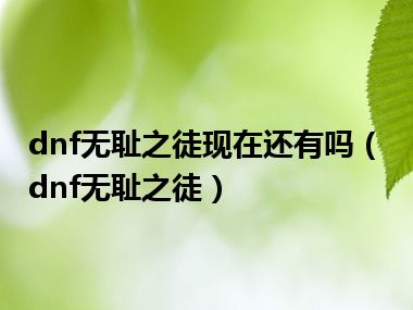 dnf无耻之徒现在还有吗（dnf无耻之徒）