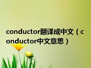 conductor翻译成中文（conductor中文意思）