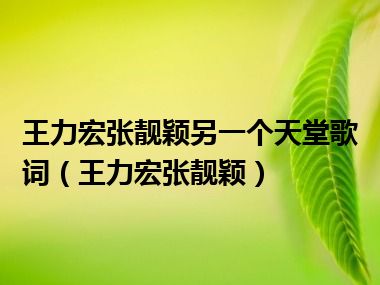 王力宏张靓颖另一个天堂歌词（王力宏张靓颖）