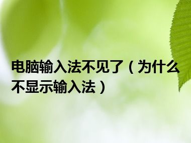 电脑输入法不见了（为什么不显示输入法）