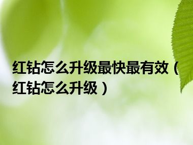 红钻怎么升级最快最有效（红钻怎么升级）