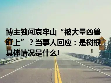 博主独闯哀牢山“被大量凶兽盯上”？当事人回应：是树根 具体情况是什么!