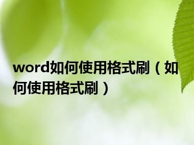 word如何使用格式刷（如何使用格式刷）