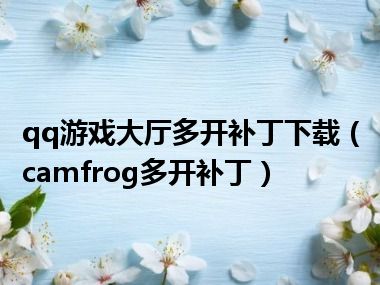 qq游戏大厅多开补丁下载（camfrog多开补丁）