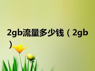 2gb流量多少钱（2gb）