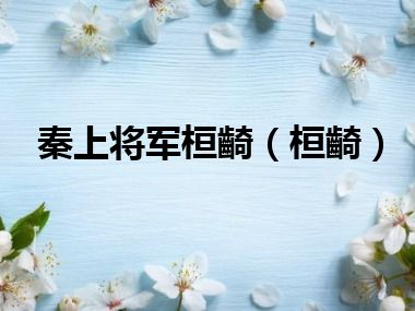 秦上将军桓齮（桓齮）