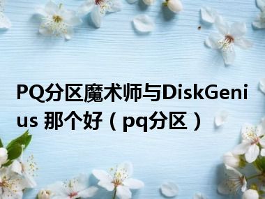 PQ分区魔术师与DiskGenius 那个好（pq分区）