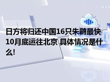 日方将归还中国16只朱鹮最快10月底运往北京 具体情况是什么!