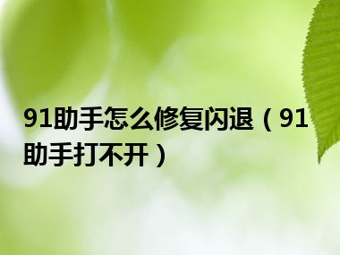 91助手怎么修复闪退（91助手打不开）