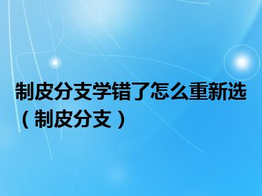 制皮分支学错了怎么重新选（制皮分支）