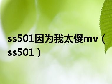 ss501因为我太傻mv（ss501）