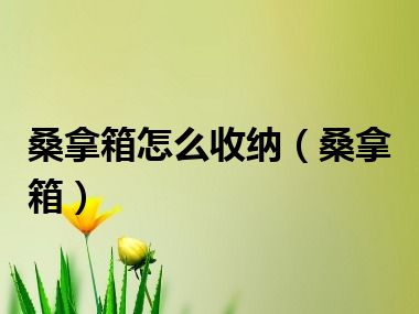 桑拿箱怎么收纳（桑拿箱）