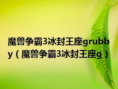 魔兽争霸3冰封王座grubby（魔兽争霸3冰封王座g）