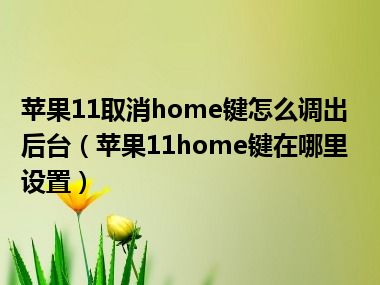 苹果11取消home键怎么调出后台（苹果11home键在哪里设置）