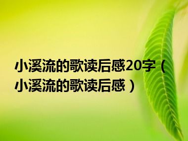 小溪流的歌读后感20字（小溪流的歌读后感）