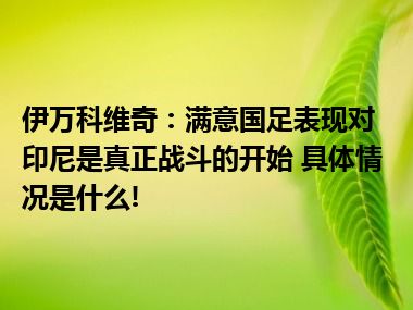 伊万科维奇：满意国足表现对印尼是真正战斗的开始 具体情况是什么!