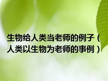 生物给人类当老师的例子（人类以生物为老师的事例）