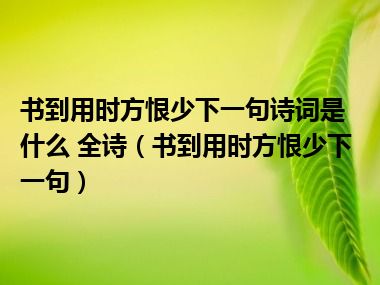 书到用时方恨少下一句诗词是什么 全诗（书到用时方恨少下一句）