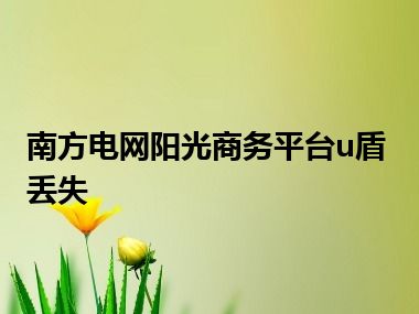 南方电网阳光商务平台u盾丢失