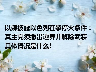 以媒披露以色列在黎停火条件：真主党须撤出边界并解除武装 具体情况是什么!