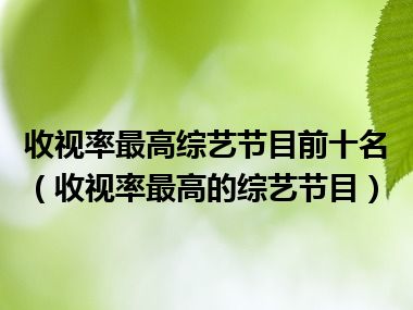 收视率最高综艺节目前十名（收视率最高的综艺节目）