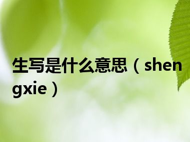 生写是什么意思（shengxie）