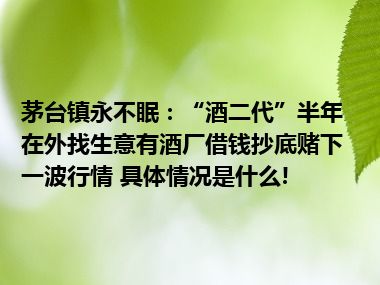 茅台镇永不眠：“酒二代”半年在外找生意有酒厂借钱抄底赌下一波行情 具体情况是什么!