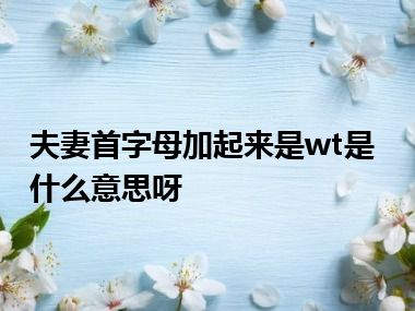 夫妻首字母加起来是wt是什么意思呀