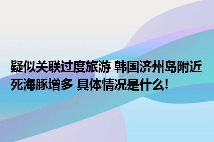 疑似关联过度旅游 韩国济州岛附近死海豚增多 具体情况是什么!