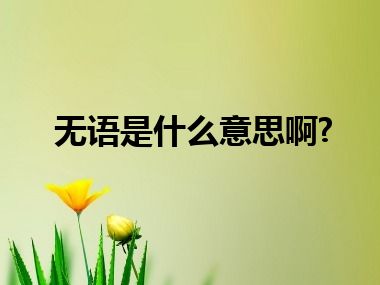 无语是什么意思啊?