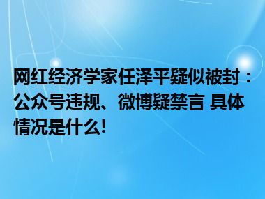 网红经济学家任泽平疑似被封：公众号违规、微博疑禁言 具体情况是什么!