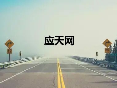 应天网