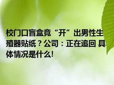 校门口盲盒竟“开”出男性生殖器贴纸？公司：正在追回 具体情况是什么!