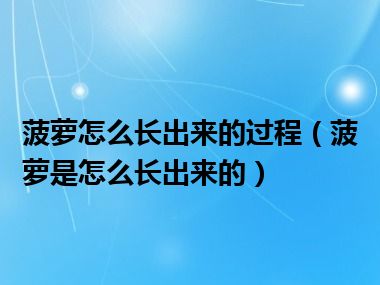 菠萝怎么长出来的过程（菠萝是怎么长出来的）